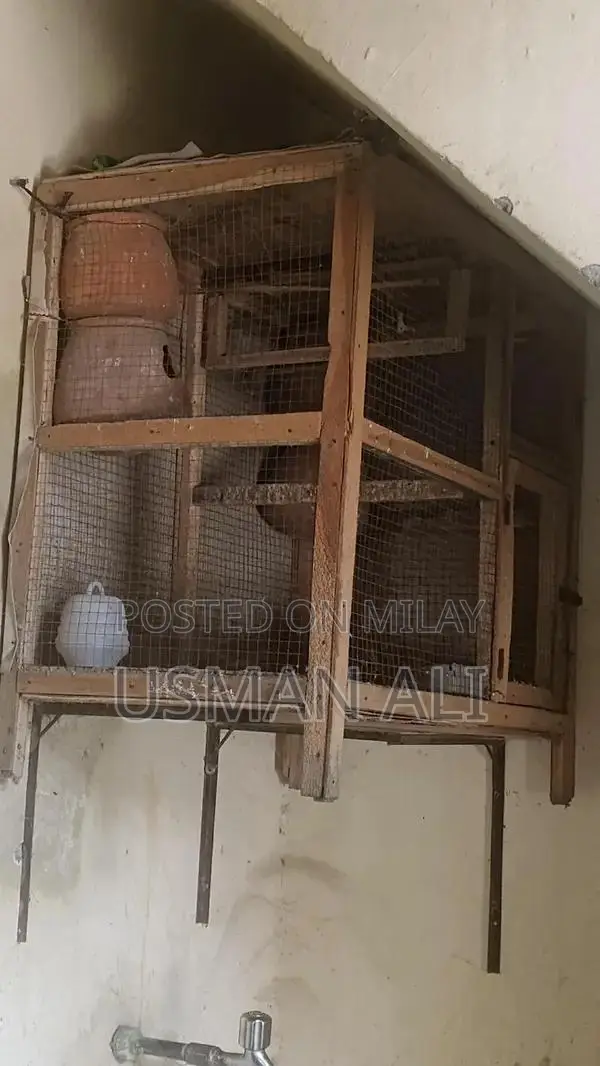 Large Bird Cage with Essential Accessories and Multi-Purpose Design