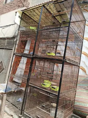 Bird Cage 4-Piece Set - Compact Portable Pinjra Design