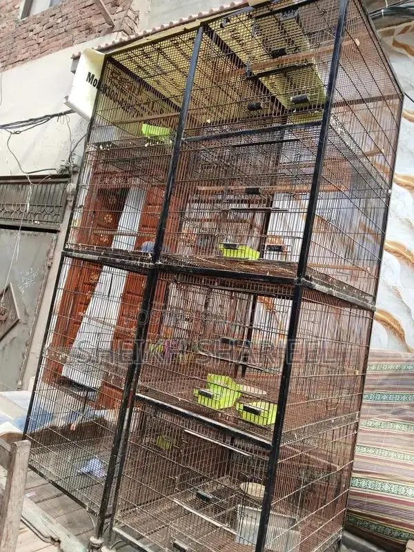 Bird Cage 4-Piece Set - Compact Portable Pinjra Design