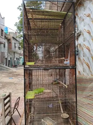 Bird Cage 4-Piece Set - Compact Portable Pinjra Design