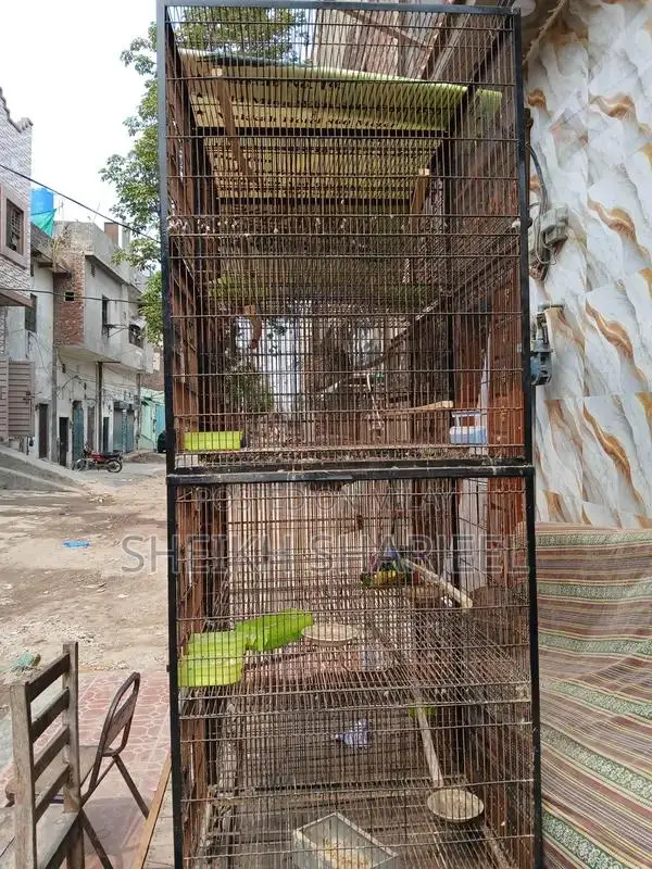 Bird Cage 4-Piece Set - Compact Portable Pinjra Design