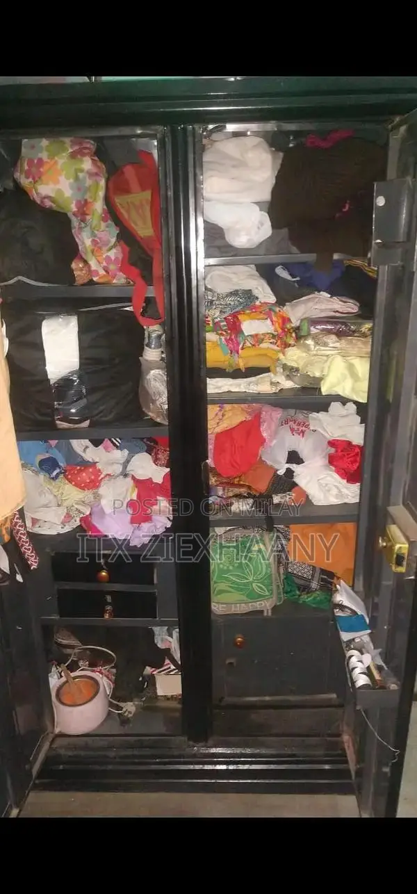 Black 2-Door Iron Wardrobe with Removable Shelves