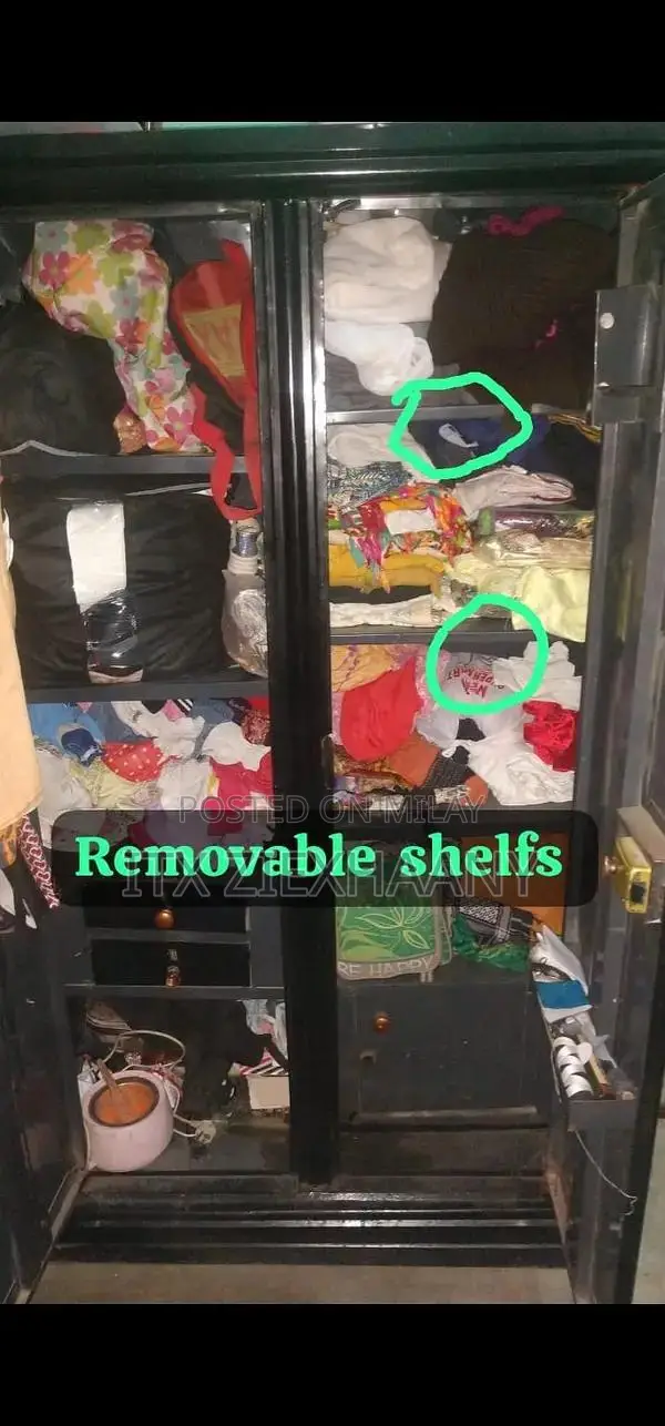 Black 2-Door Iron Wardrobe with Removable Shelves