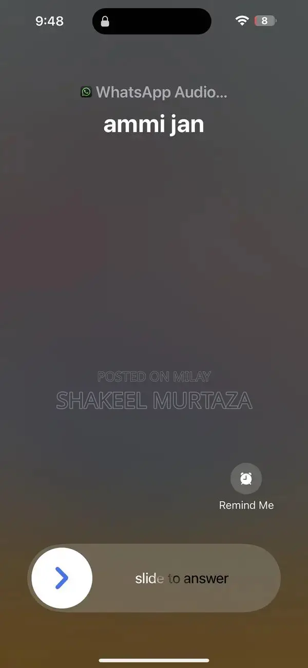 Apple Smartphone Premium Model Blue Edition