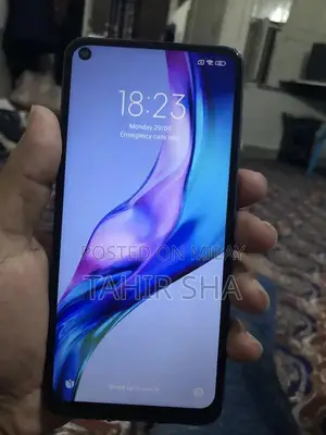 Powerful Budget Smartphone with Ample Storage