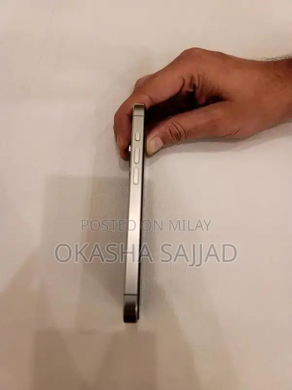 Apple Pro Smartphone 256GB Titanium Dual eSIM