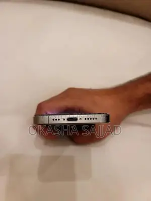 Apple Pro Smartphone 256GB Titanium Dual eSIM