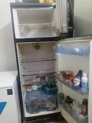 Panatron Large Imported Refrigerator with Superior Cooling