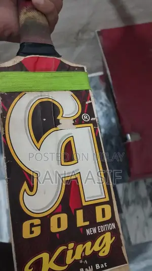 High-Quality Cricket Bat 10x10 Professional Condition