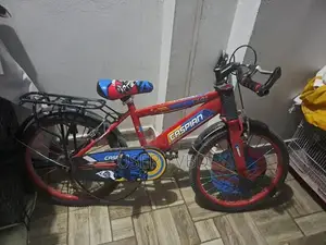 20-Inch Bicycle in Pristine Condition - Never Used