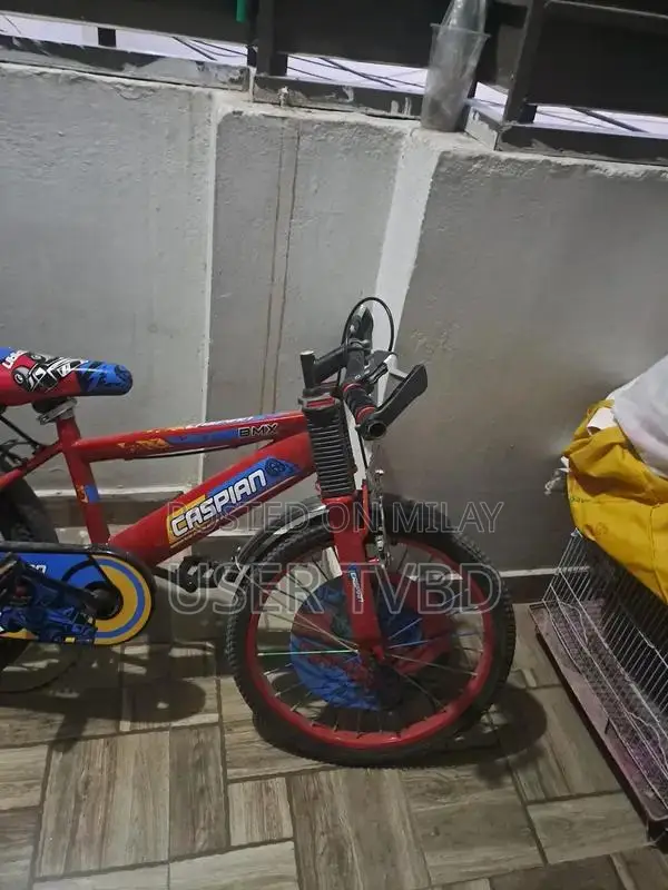 20-Inch Bicycle in Pristine Condition - Never Used