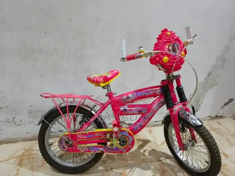 Girls Bicycle 20-inch Kids Bike for Ages 8-12