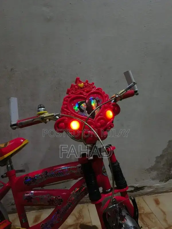 Girls Bicycle 20-inch Kids Bike for Ages 8-12