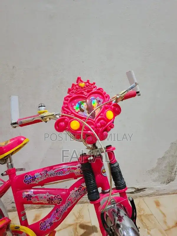 Girls Bicycle 20-inch Kids Bike for Ages 8-12