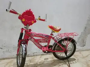 Girls Bicycle 20-inch Kids Bike for Ages 8-12