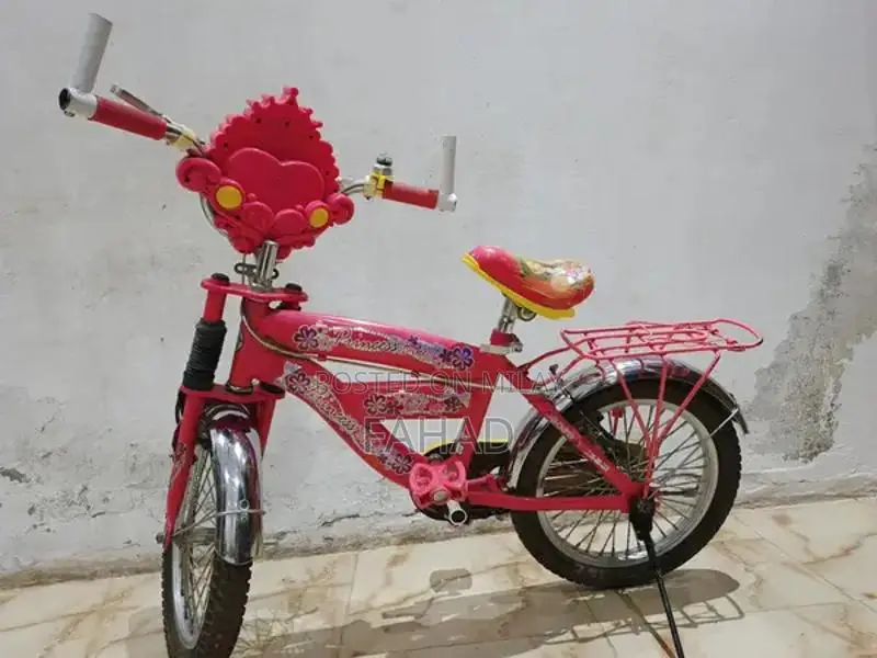 Girls Bicycle 20-inch Kids Bike for Ages 8-12