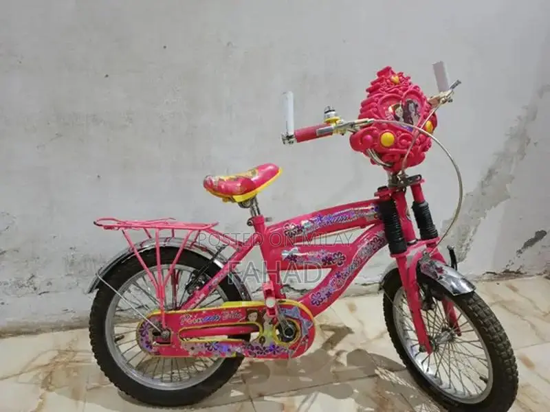Girls Bicycle 20-inch Kids Bike for Ages 8-12