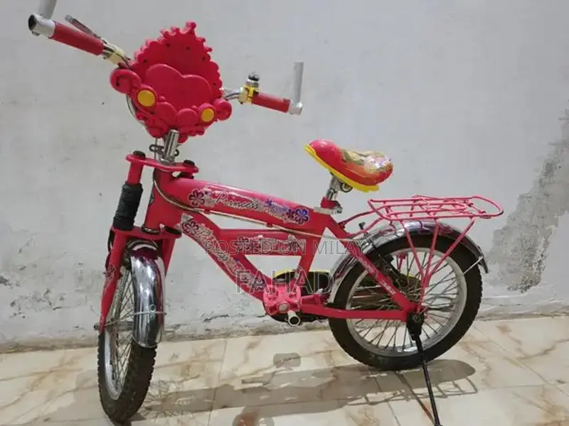 Girls Bicycle 20-inch Kids Bike for Ages 8-12