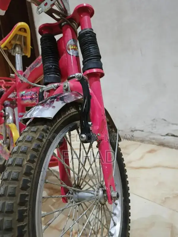 Girls Bicycle 20-inch Kids Bike for Ages 8-12