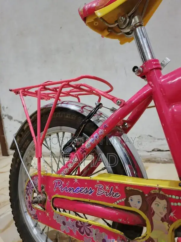 Girls Bicycle 20-inch Kids Bike for Ages 8-12