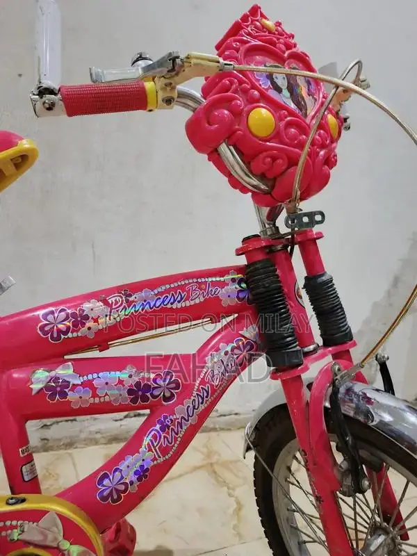 Girls Bicycle 20-inch Kids Bike for Ages 8-12