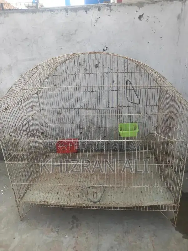 Sturdy Poultry Cage for 4 Hens and Pigeons