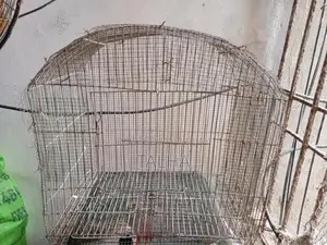 Protective Pet Cage with Four-Sided Net Coverage