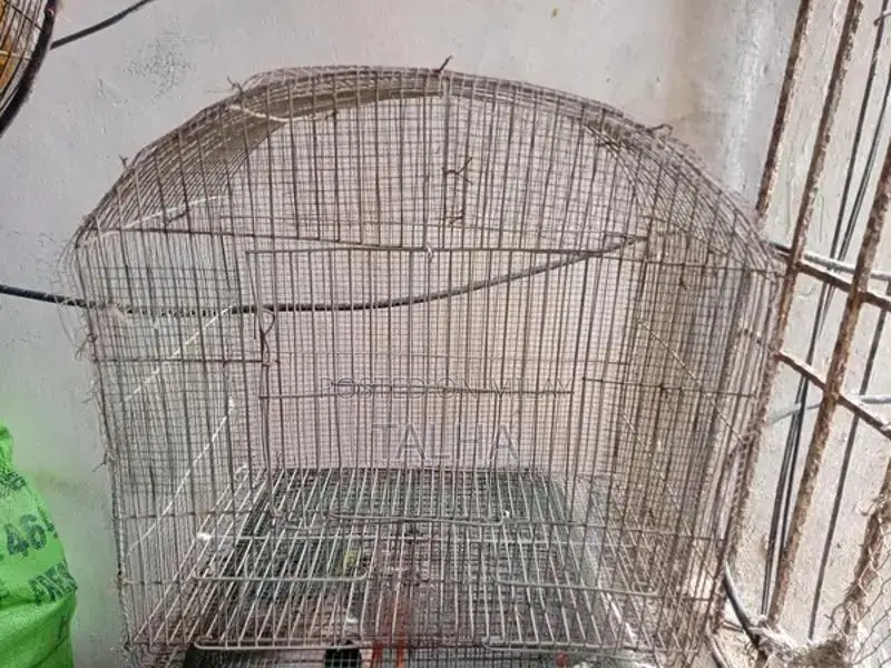 Protective Pet Cage with Four-Sided Net Coverage