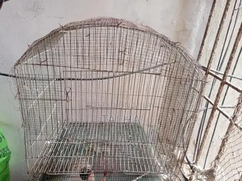 Protective Pet Cage with Four-Sided Net Coverage