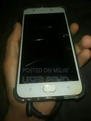 Smartphone with 64GB Storage and Glass Back