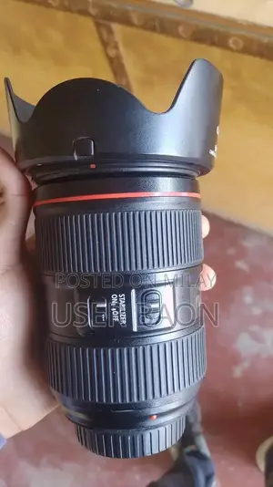 Canon EF 24-105mm F/4L IS II USM Professional Zoom Lens