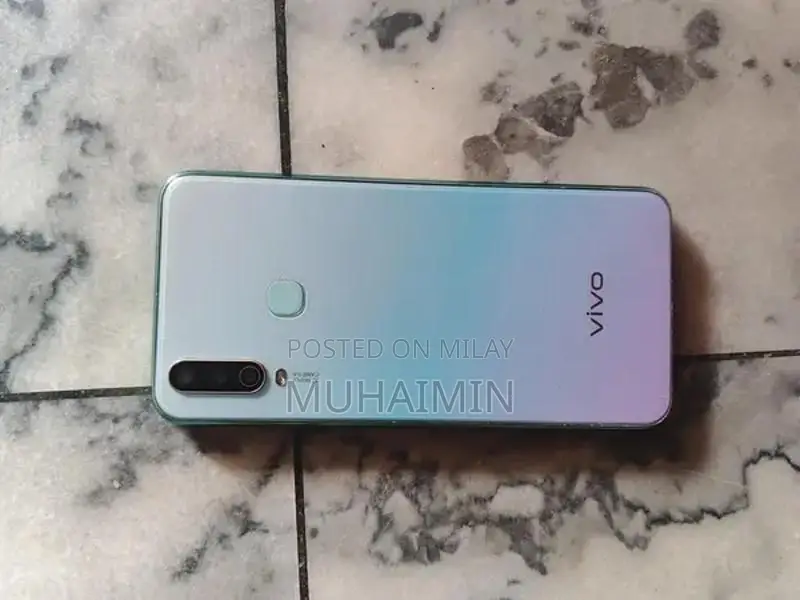 Vivo Y17 Smartphone Mid-Range Mobile Device