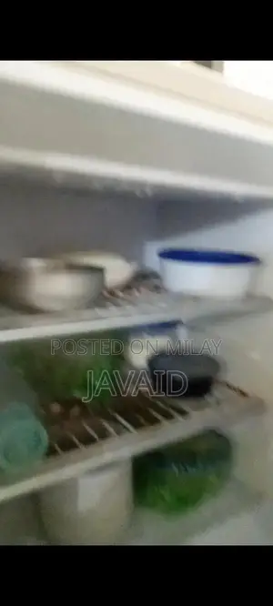 Orient Refrigerator - Efficient Cooling Home Appliance