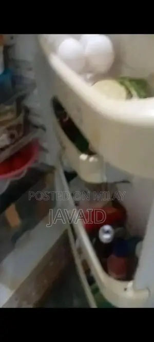 Orient Refrigerator - Efficient Cooling Home Appliance