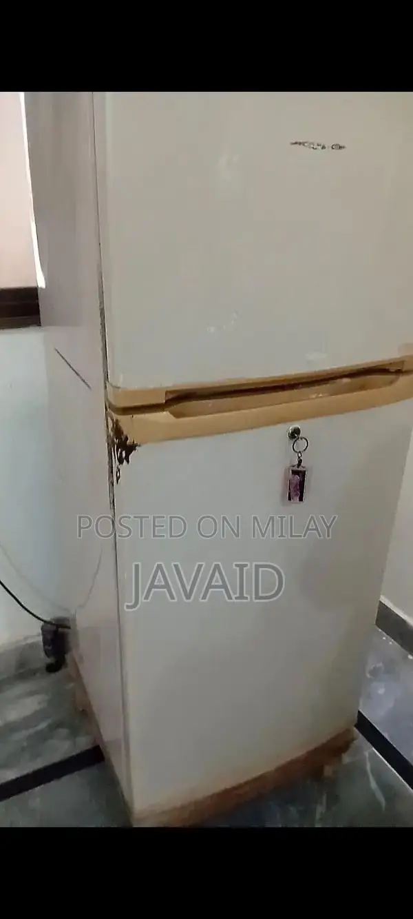 Orient Refrigerator - Efficient Cooling Home Appliance