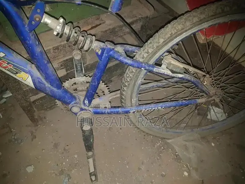 Used Trigon USA Bicycle - Needs Repair