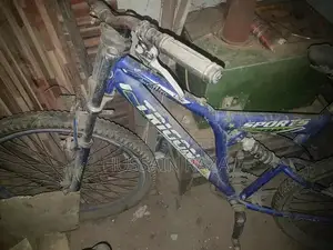 Used Trigon USA Bicycle - Needs Repair