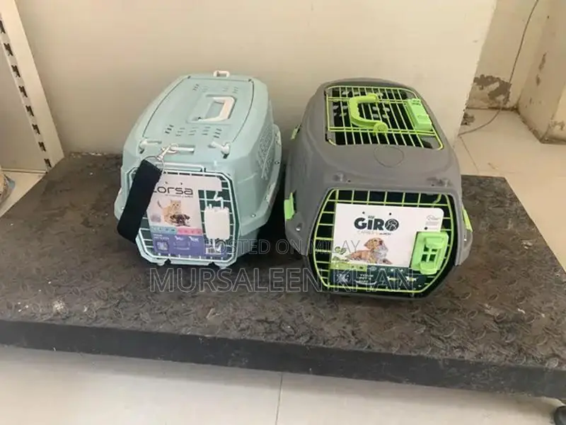 Pet Food Accessories and Feeding Supplies