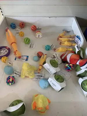 Pet Food Accessories and Feeding Supplies