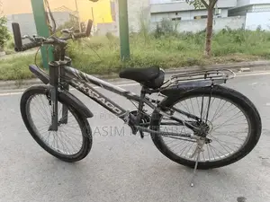 Photo - Classic Chicago Urban Bicycle for City Riding