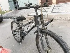 Classic Chicago Urban Bicycle for City Riding