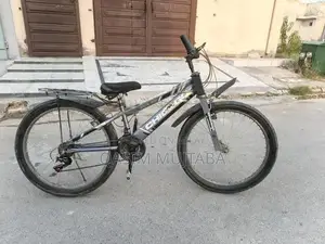 Classic Chicago Urban Bicycle for City Riding