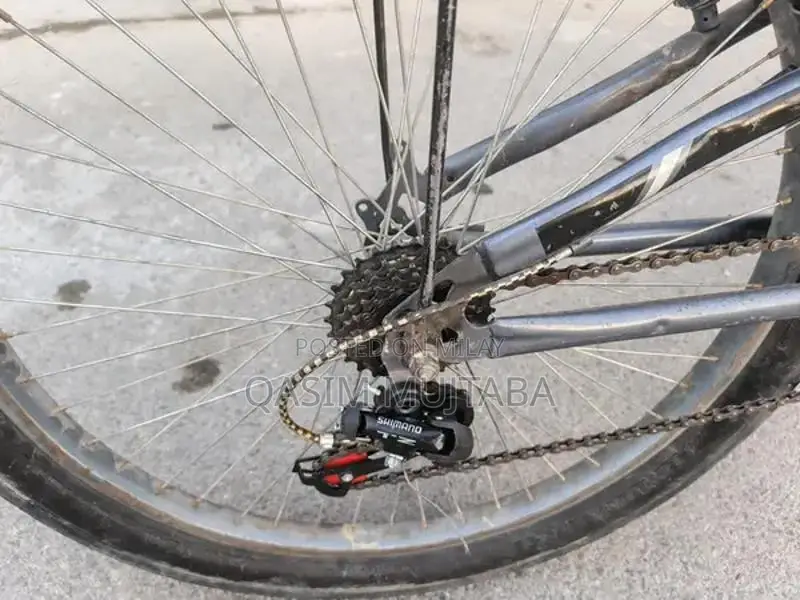 Classic Chicago Urban Bicycle for City Riding