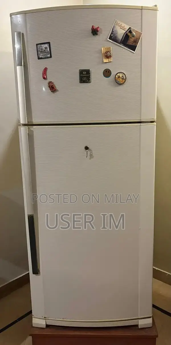 Dawlance Jumbo Refrigerator - Large Capacity Frost-Free Fridge