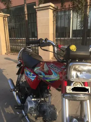 CD 70 Motorcycle 2024 Model - Red Color Classic Bike