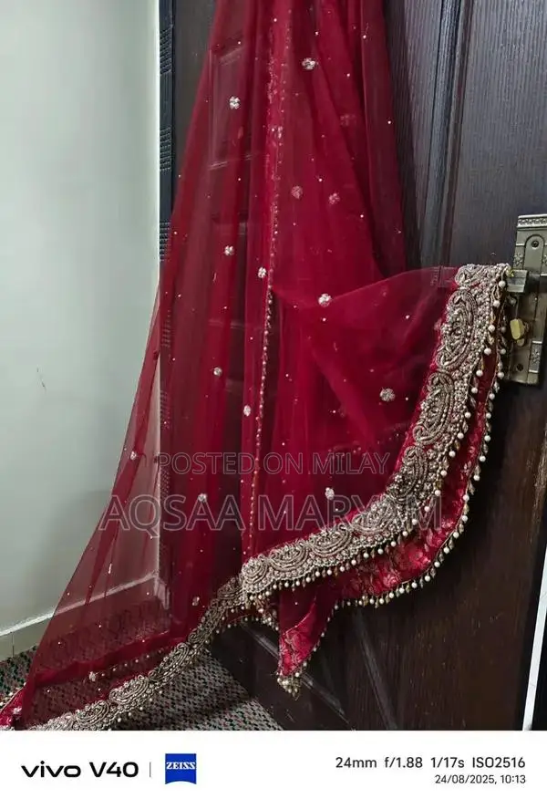 Elegant Zari Dabka Embroidered Bridal Maxi Dress - Large Size