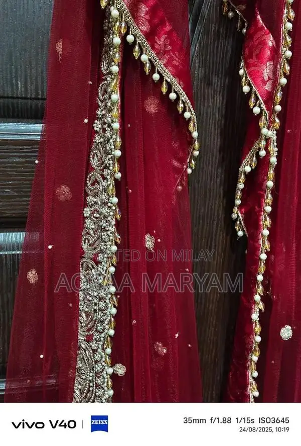 Elegant Zari Dabka Embroidered Bridal Maxi Dress - Large Size