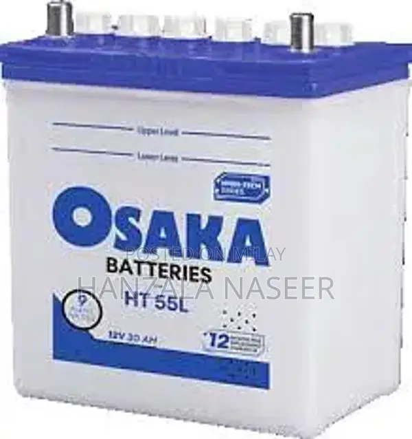 Osaka 9-Plate 55W Battery Inverter with Charger
