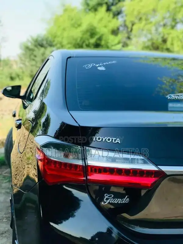 Lightly Used Guanine Hand-Operated Vehicle