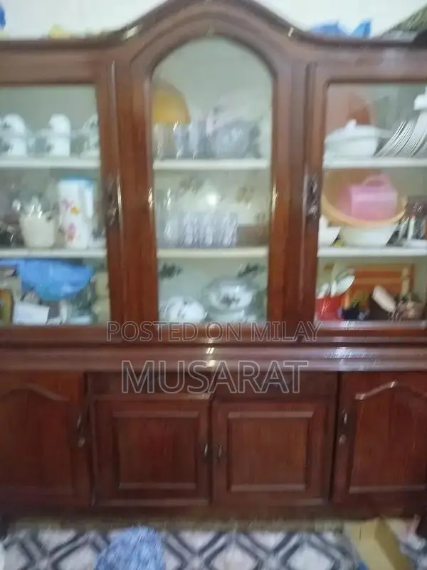 Elegant Wooden Display Cabinet with Glass Doors